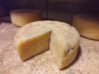 Tomme de vache - 4 mois d'affinage