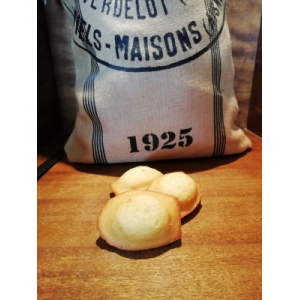 Madeleine moelleuse au chocolat