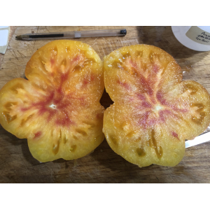 Tomate ananas jaune (graines à semer)