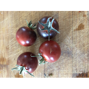Tomate bacchante (graines à semer)