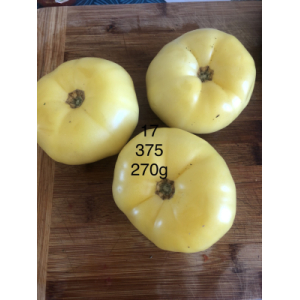 Tomate beauté blanche (graines à semer)