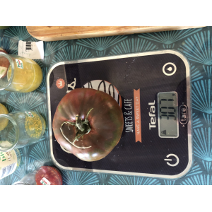 Tomate noire de crimée (graines à semer)