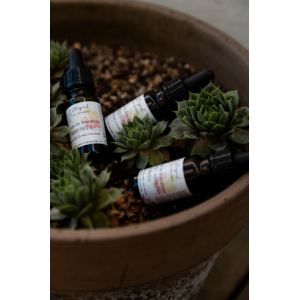 - synergie digestion -