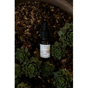 - synergie stress . anxiété . sommeil -