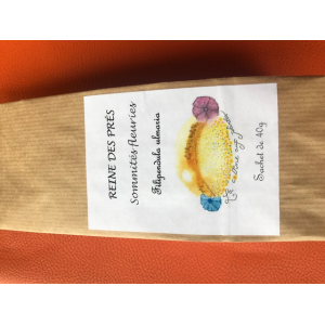 Tisane simple reine des prés