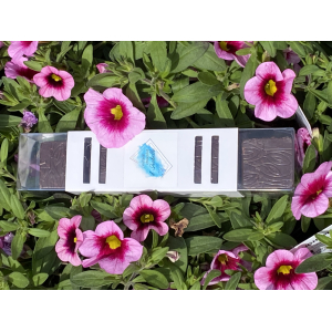 Praline chocolat noir ganache framboise