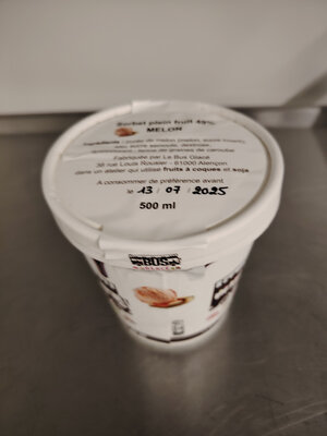 Sorbet plein fruit melon