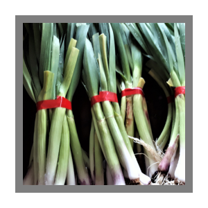 Aillet frais en botte