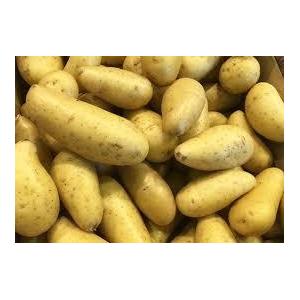 Pomme de terre agata