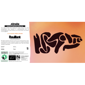 Airain - ambrée sèche style amber ale