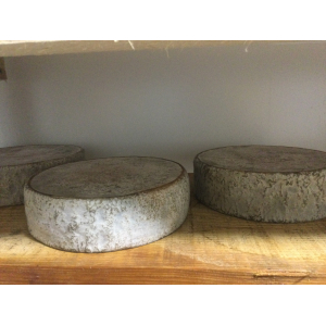Tomme de brebis nature 1 à 3 mois d'affinage
