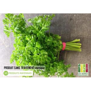 Persil frisé en botte