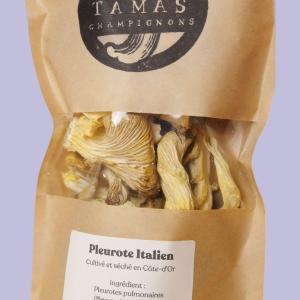 Pleurote italien sec