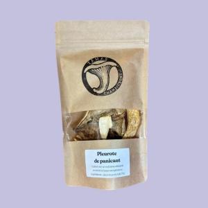 Pleurote de panicaut sec