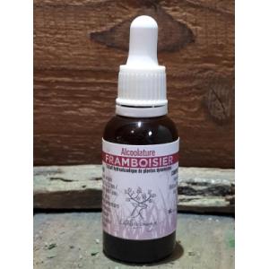 Alcoolature framboisier