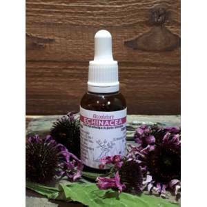 Alcoolature echinacea
