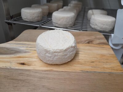 Chèvre 1/2 affiné