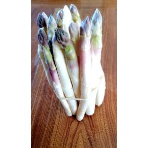 Asperges violettes pointes
