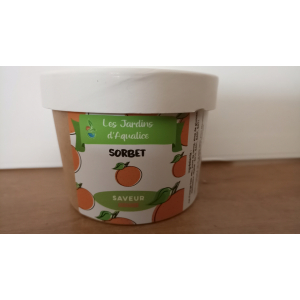 Sorbet mandarine 1l