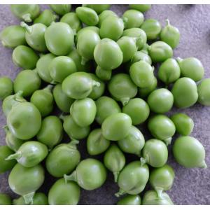 Petits pois