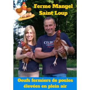 œufs fermiers plein air (x6)