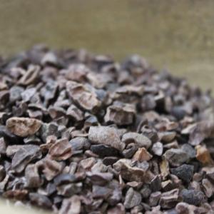 Eclats de cacao criollo (nibs)
