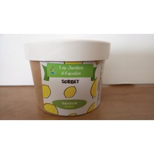 Glace vanille 1l - sans lactose