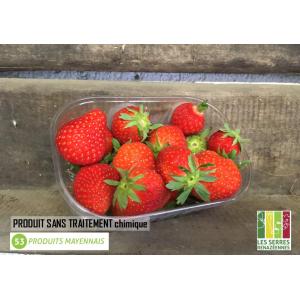 Fraises - 250g