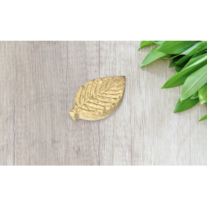 Shampoing solide rhassoul