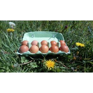 Oeuf frais fermier par 10