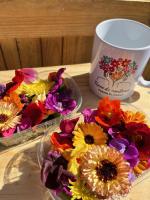 Fleurs comestibles bio 25 pièces