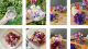 Fleurs comestibles bio 25 pièces - image 5