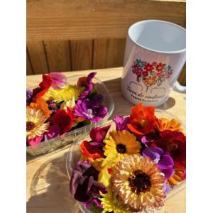 Fleurs comestibles bio 25 pièces