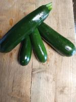 Courgette verte