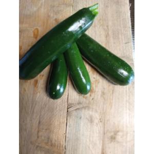 Courgette verte