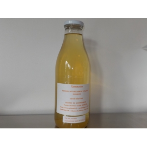 Kombucha gingembre et agrumes bio