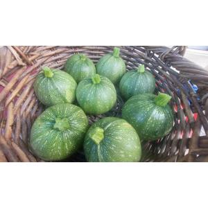 Courgette verte ronde