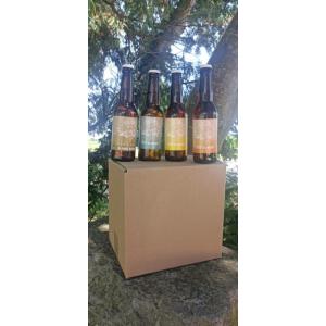 Carton découverte 12 bières 33 cl