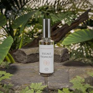 Parfum d'ambiance escale tropicale