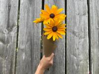 Fleurs botte - rudbeika