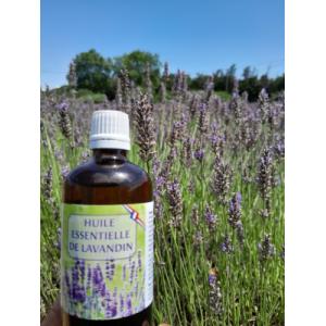 Huile essentielle de lavandin