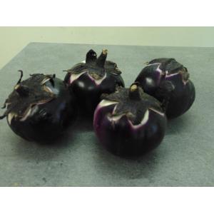 Aubergines rondes