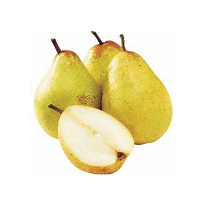 Poire  d'été guyot en plateau