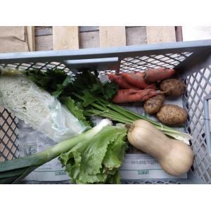 Petit panier de légumes
