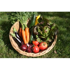 Panier de légumes de saison