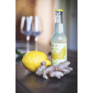 Noctua citron gingembre