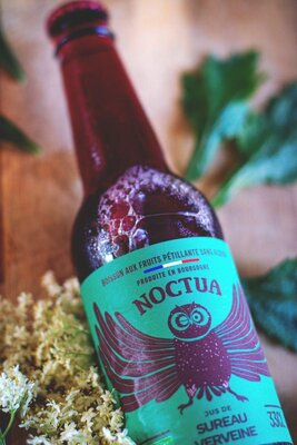 Noctua sureau verveine