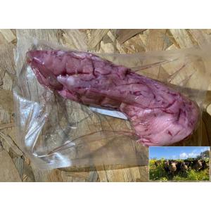 Pied de porc - porc plein air