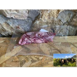 Langue de porc - porc plein air