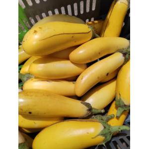 Mélange d'aubergines dourga